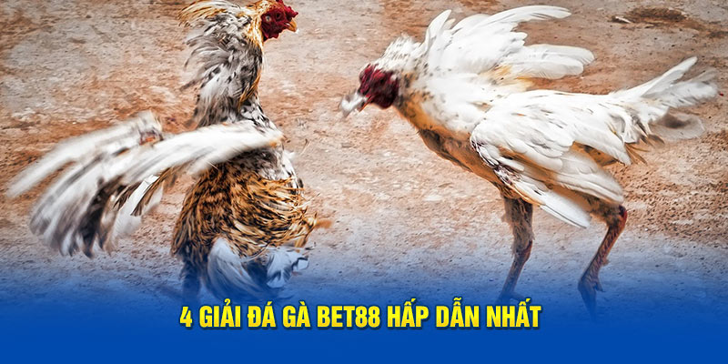 4 giải đá gà Bet88 hấp dẫn nhất 