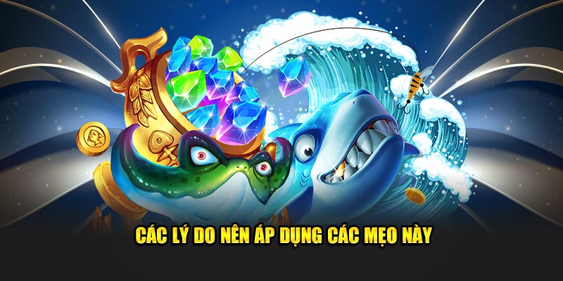 Các lý do nên áp dụng các mẹo này