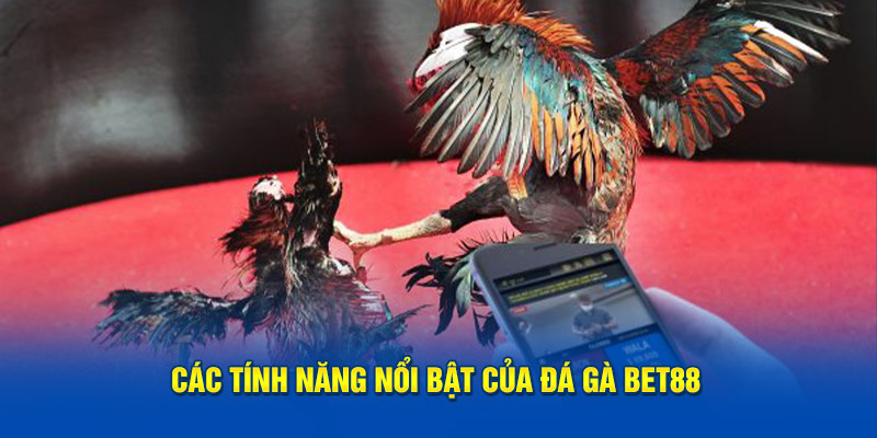 Các ưu điểm nổi bật của đá gà bet88