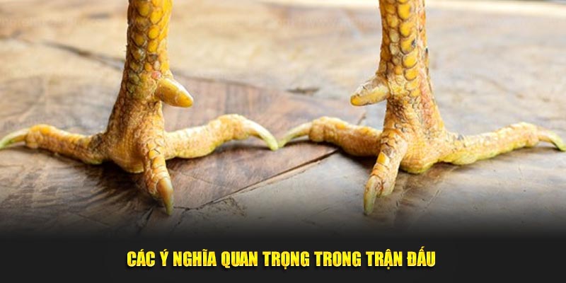 Các ý nghĩa quan trọng trong trận đấu 