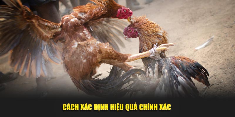 Cách thức xác định hiệu quả đúng đắn