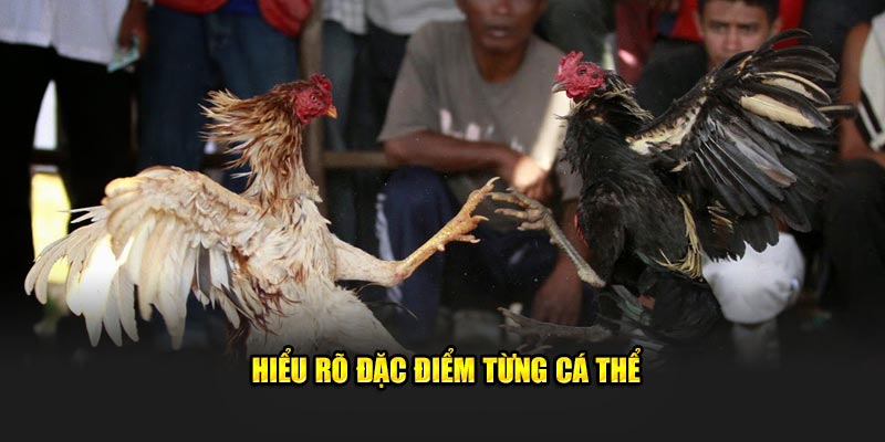 Hiểu rõ đặc điểm từng cá thể