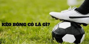 kèo bóng cỏ là gì