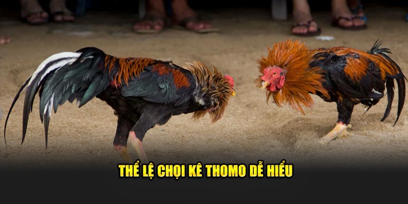 Thể lệ chọi kê Thomo dễ hiểu 